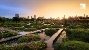 Benjakitti Park in Bangkok designed as urban flood infrastructure with wetlands, retention basins and elevated boardwalks
