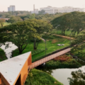 Chennai’s First Wetland Sponge Park