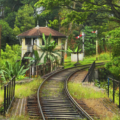 Sri Lanka’s Journey to becoming Malaria-Free